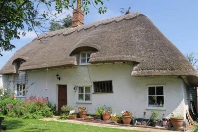 Entire Thatched Cottage Melbourn ภายนอก รูปภาพ
